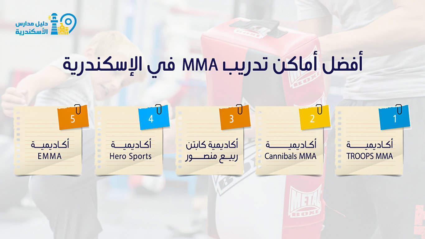 أفضل أماكن تدريب MMA في الإسكندرية